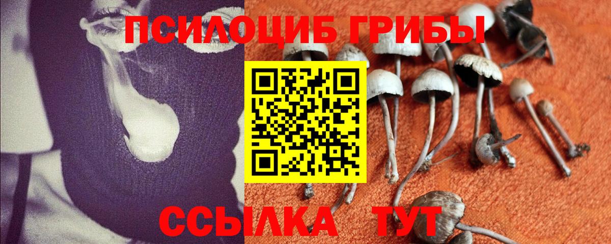 Псилоцибиновые грибы прущие грибы Котельники