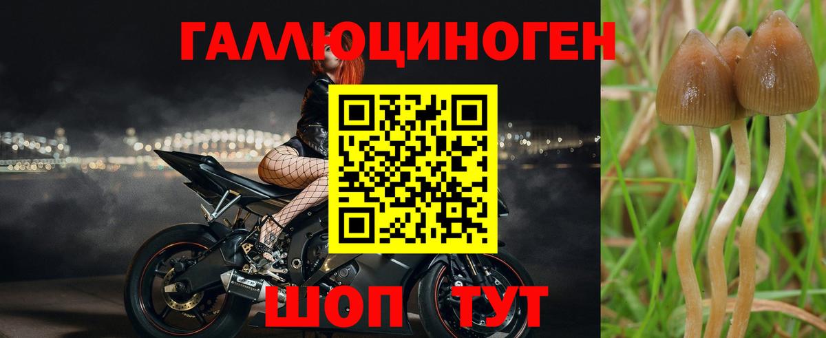 Псилоцибиновые грибы мицелий  Вход с VPN  Котельники 